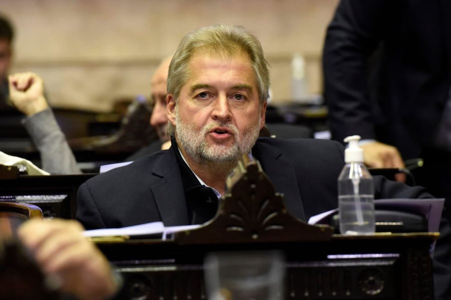 Mirabella en la Cámara de Diputados de la Nación