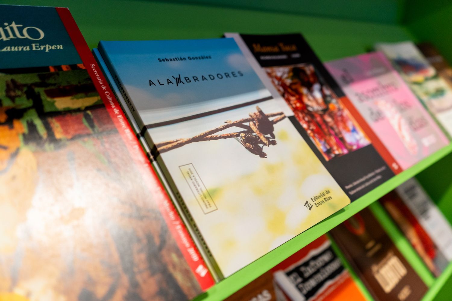 Se conocieron las obras que concursan por el Premio Literario Fray Mocho