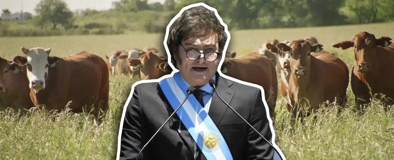 El productor, de atacado a ignorado: aumento del inmobiliario y ausentes los “tranqueras adentro” en el discurso del presidente