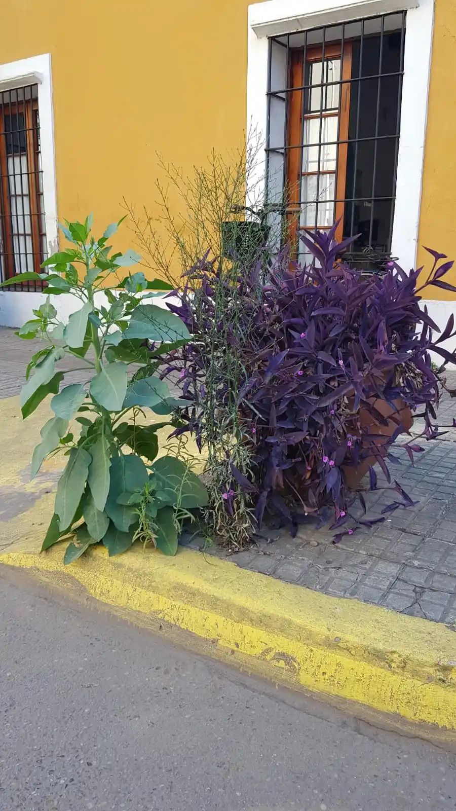 El ex palán palán de la Secretaría de Turismo. Foto: La Opinión