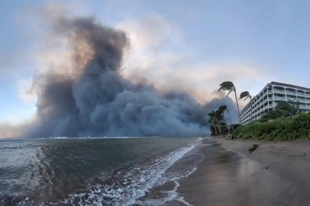 Los incendios en Hawaii quemaron más de 800 hectáreas