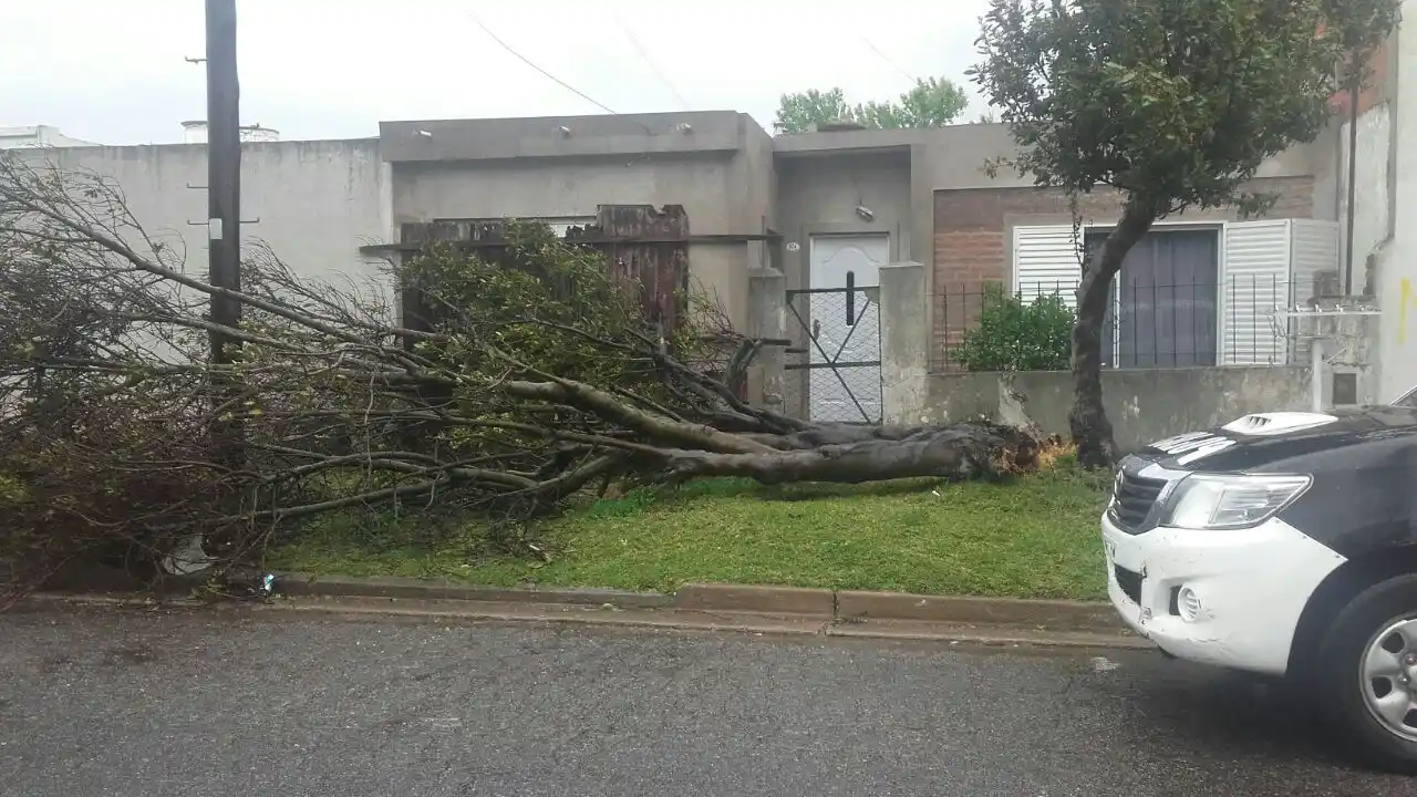 Finalizan la reconstrucción del sistema de media tensión