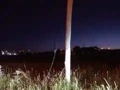 Robo de cables, un flagelo recurrente