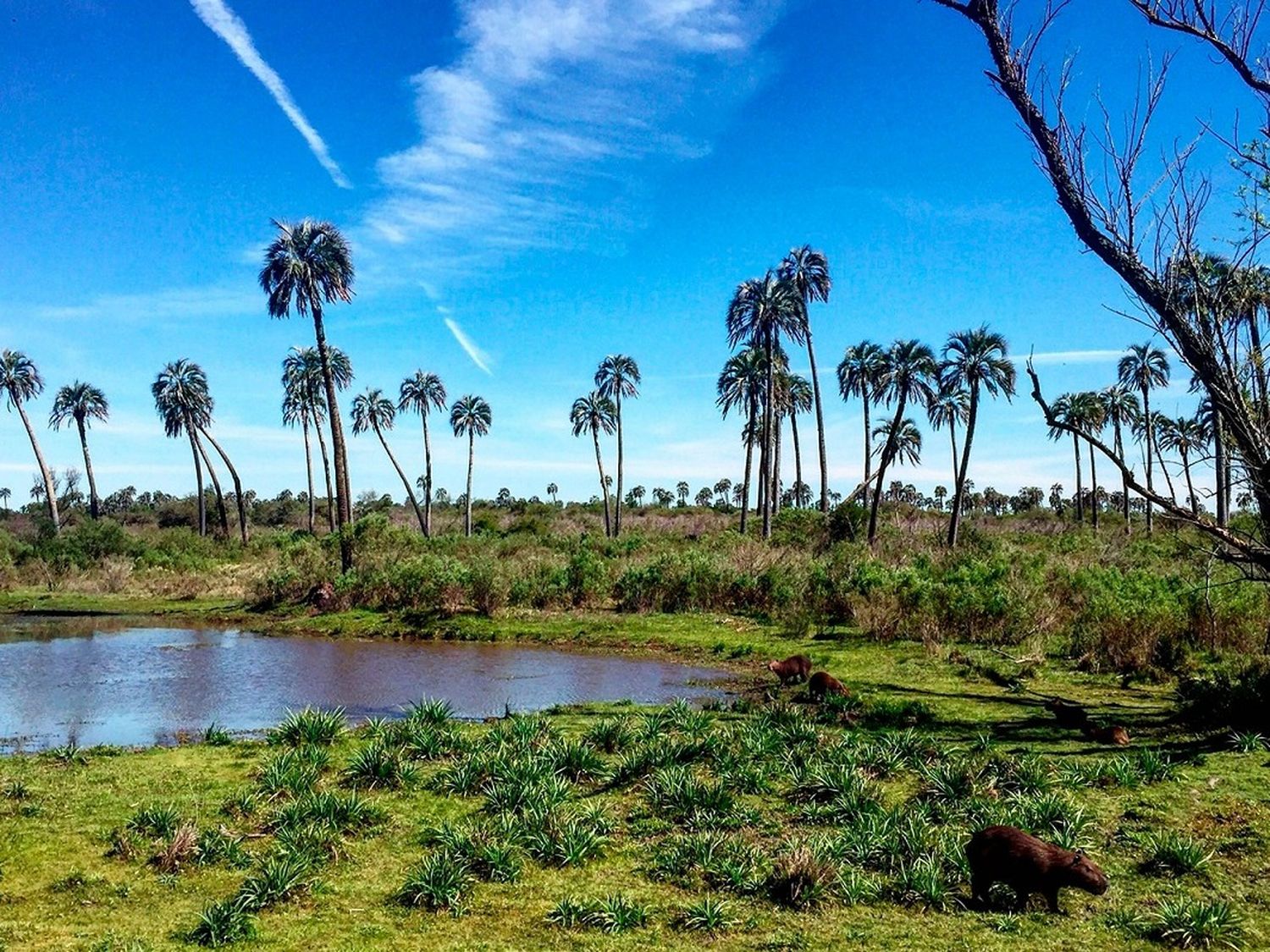 El Palmar, San José y Liebig: tres destinos turísticos que van de la mano