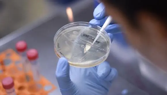 ¡NUEVO ROUND!: China denuncia la «arrogancia» de la OMS por investigar el origen de la Covid-19