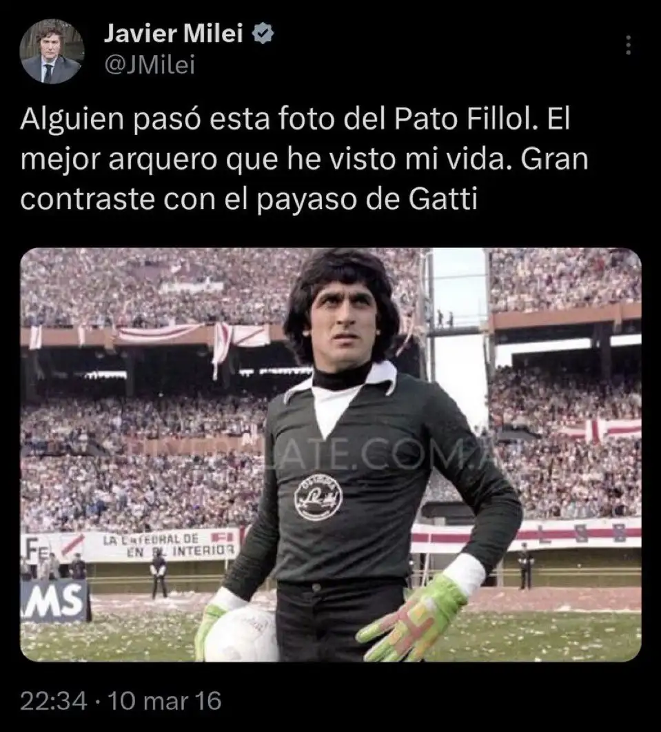 milei gatti
