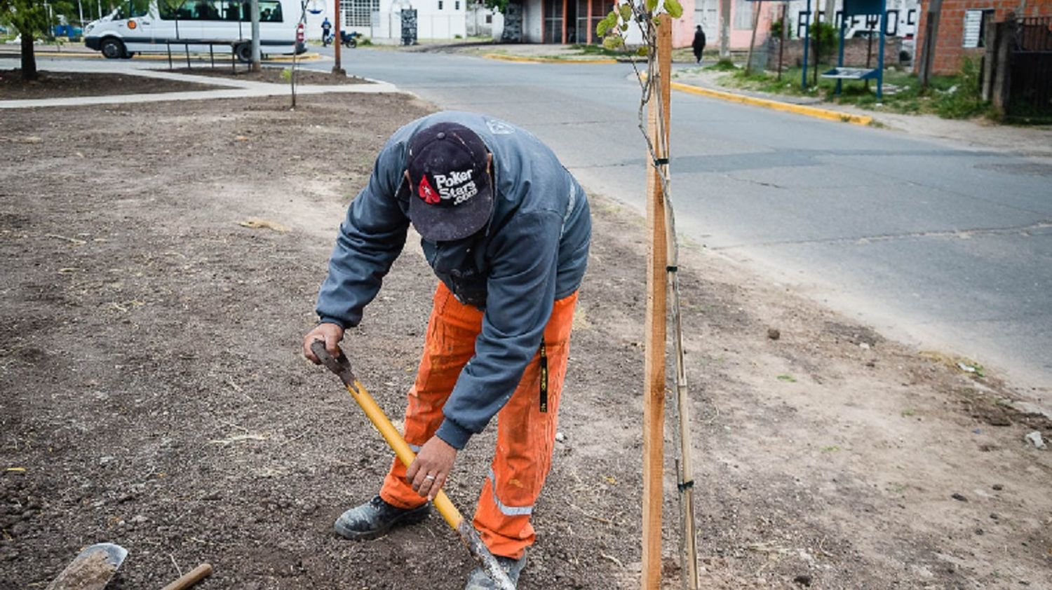 Plantarán 500 nuevos árboles en la ciudad