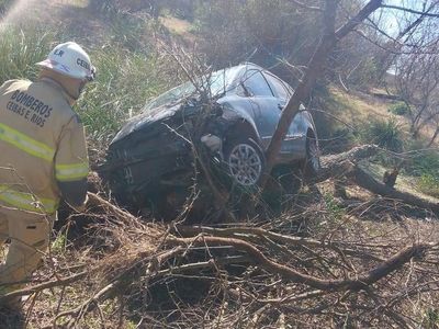 Una familia volcó en la Ruta 12 y terminó impactando contra un árbol
