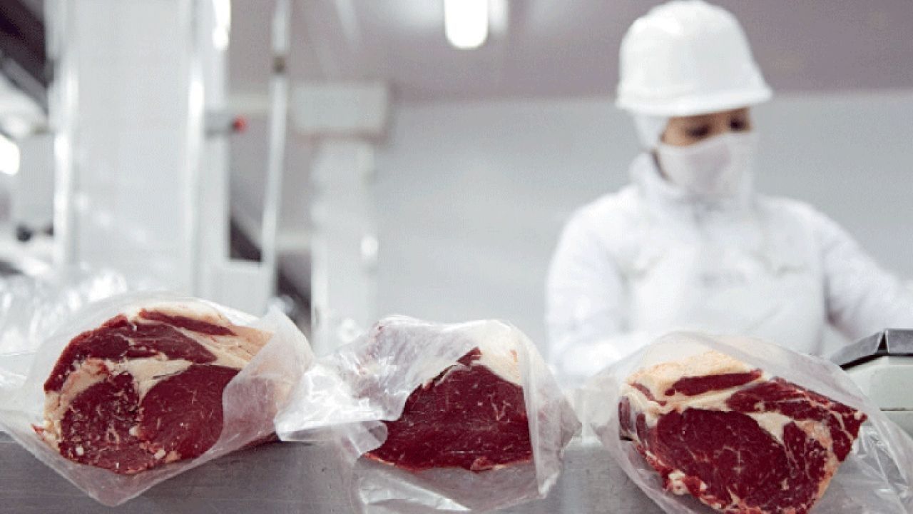 Proponen incentivos de precio para seleccionar por calidad de carne