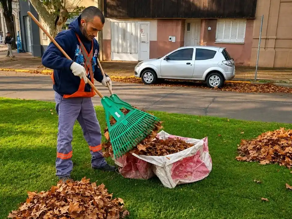 Refuerzan tareas de barrido y retiro de hojas en espacios públicos