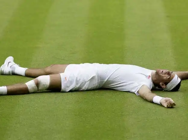 Wimbledon: Del Potro cayó ante Djokovic y quedó eliminado