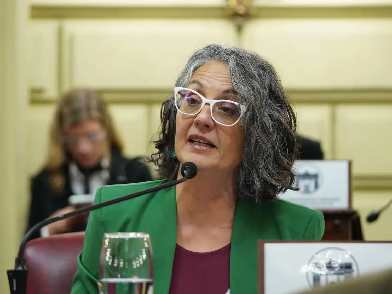 “Preguntá por Ángela” obtuvo media sanción en Santa Fe: cómo funcionará el protocolo en bares y boliches
