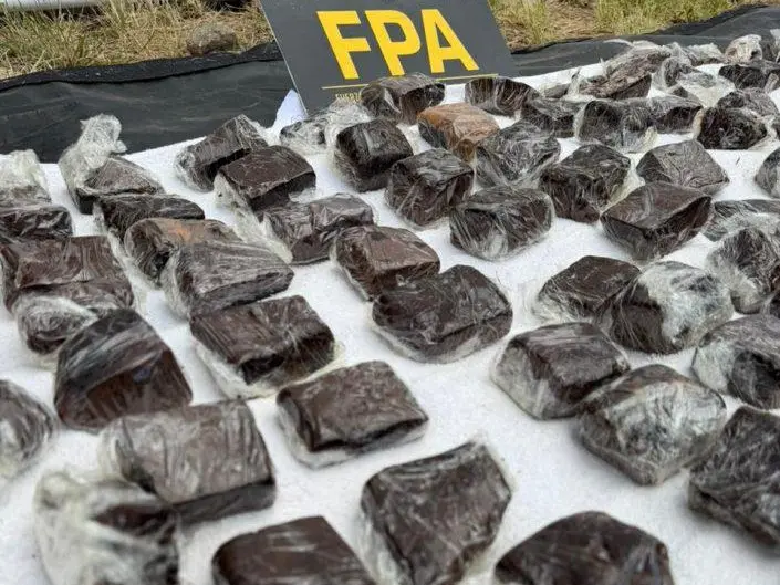 Incautaron más de 6kg de "brownies locos" en inmediaciones al Cosquín Rock y detuvieron a dos hombres