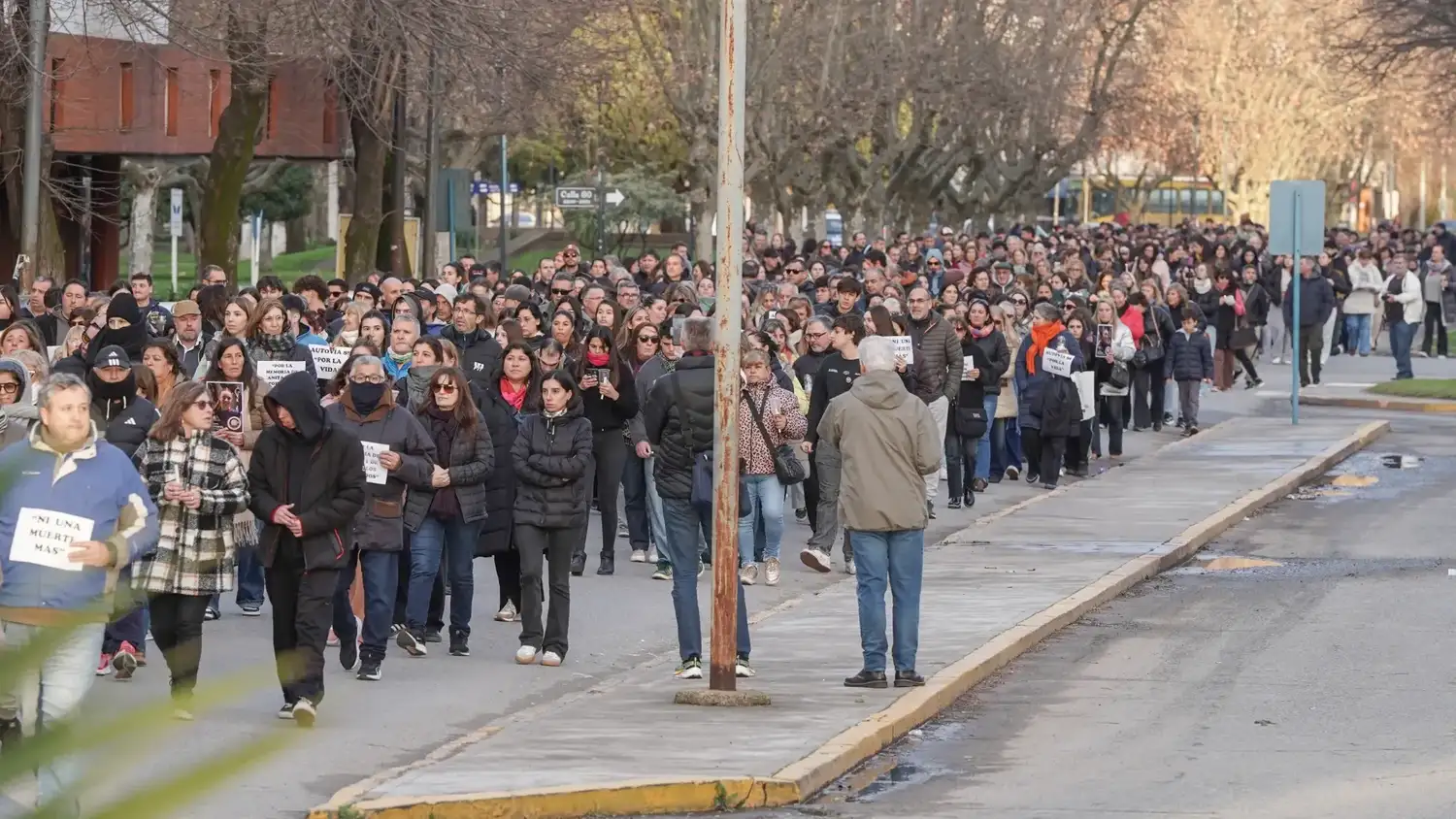 Marcha por Anita