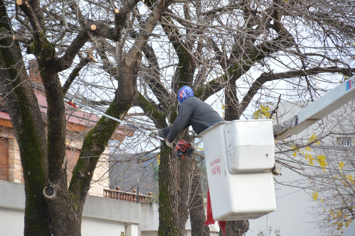 Poda en altura.