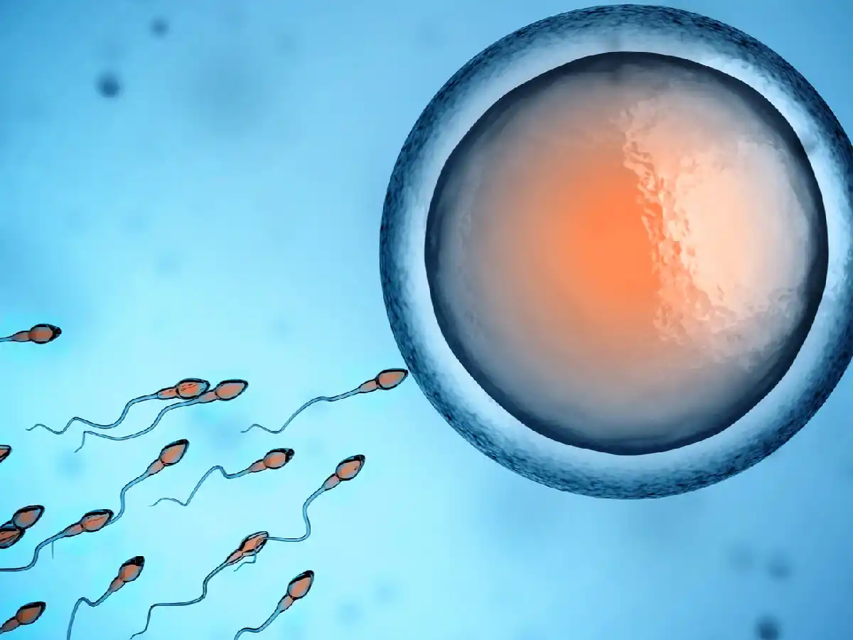 Nació en Argentina el primer bebé del mundo concebido con una técnica que activa los espermatozoides 