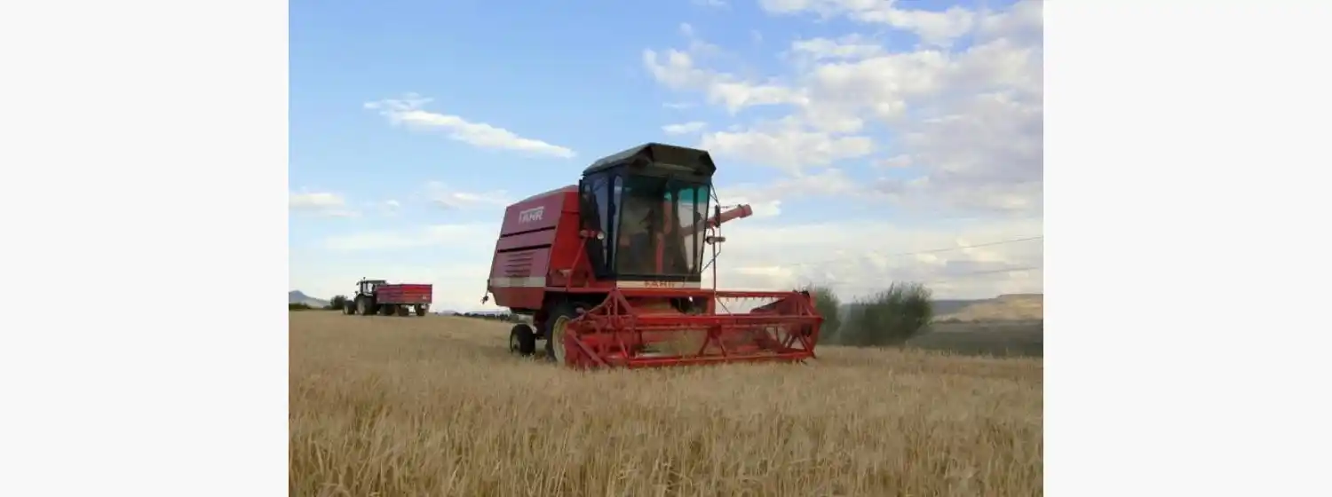 Por la sequía, estiman pérdidas en soja y trigo por casi USD 5 mil millones