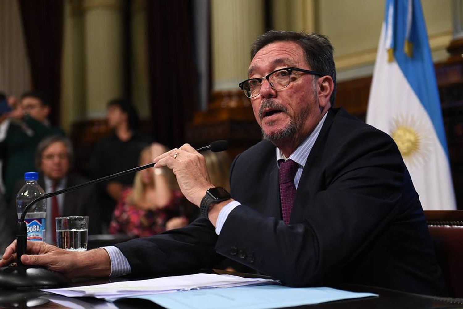 Guastavino opinó que “sería una pena” que no se apruebe el proyecto de legalización del aborto
