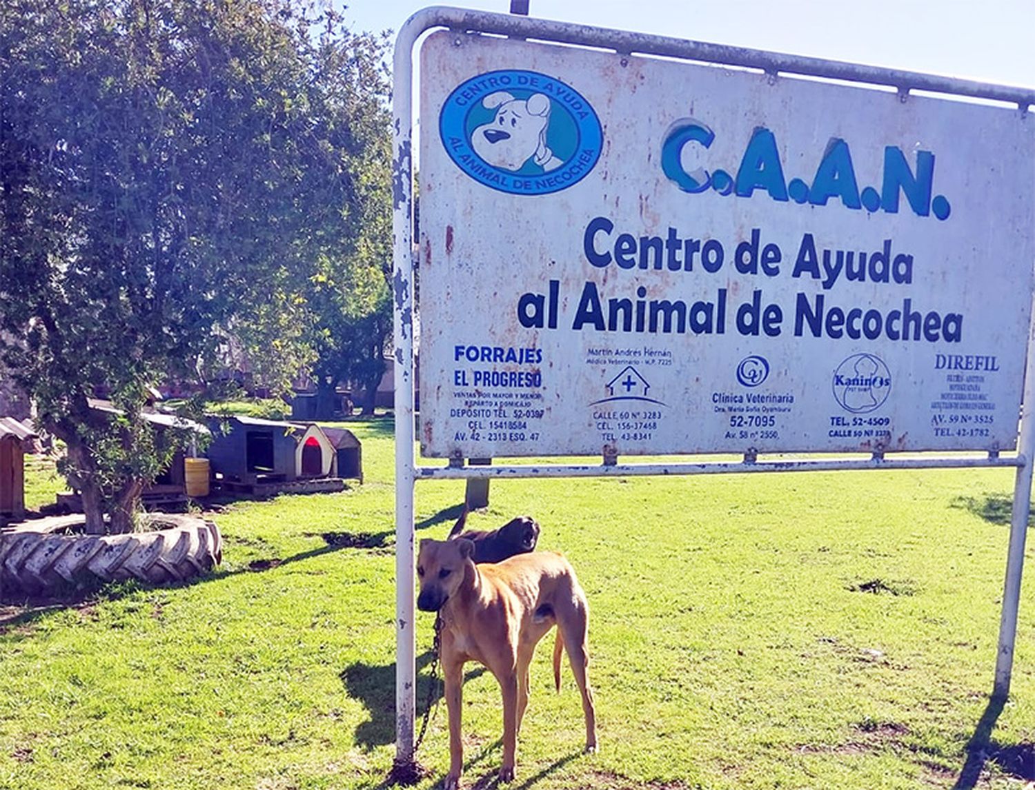 “El CAAN hace lo imposible, pero la población no ayuda”