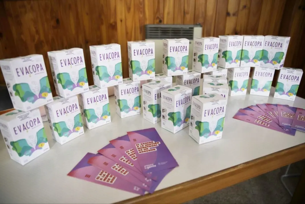 Cómo es el programa de acceso a la “gestión menstrual” que oficializó el Gobierno