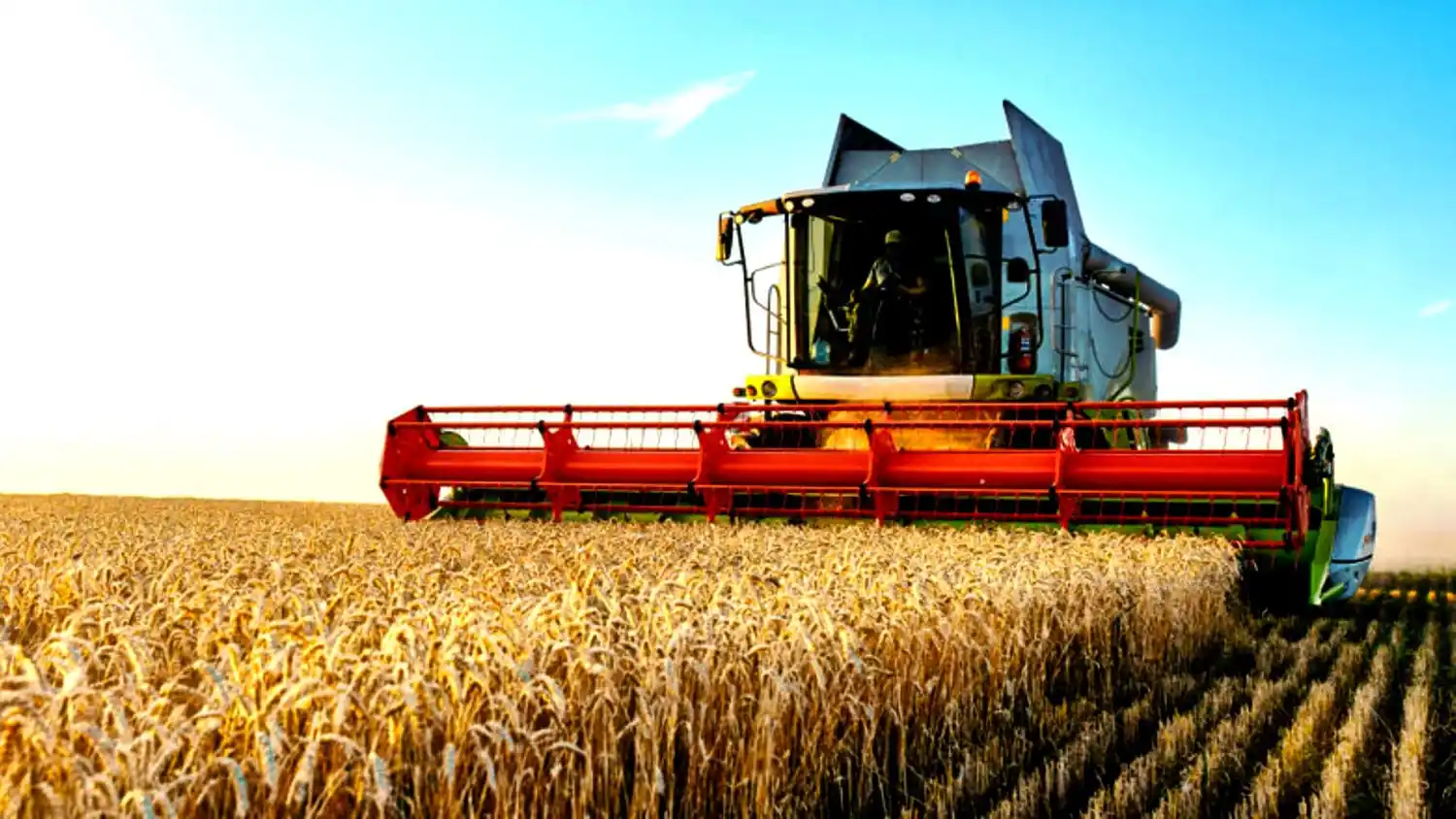 El campo aportó el 57,9% de los dólares por exportaciones durante el año anterior