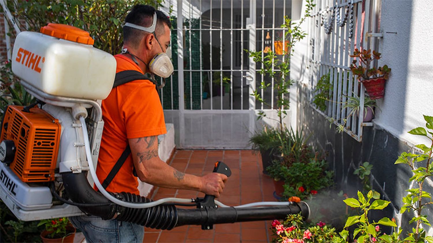 Hay nuevos casos de dengue autóctono en Paraná: solicitan "extremar medidas"