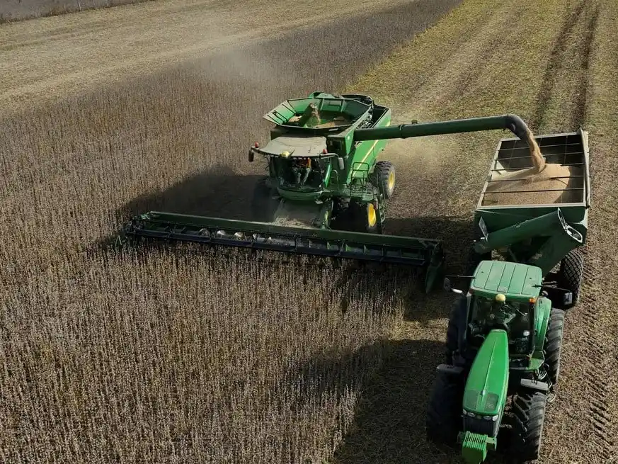 Adorni destacó que la decisión busca contrarrestar "la incertidumbre" que, según el Ejecutivo, se genera para "boicotear el programa de gobierno".