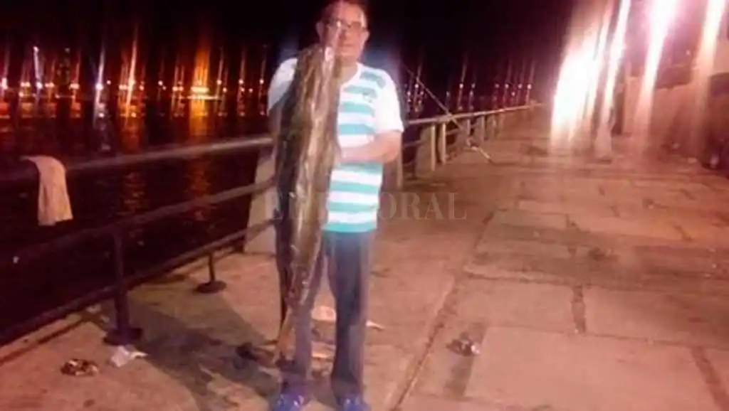 Un gran surubí en la Costanera de la ciudad Santa Fe