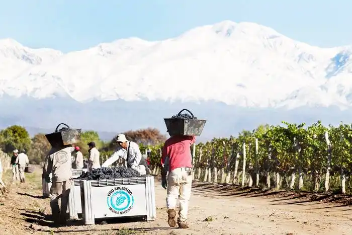 Una agenda federal para celebrar el Día del  Vino Argentino, nuestra Bebida Nacional