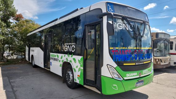 Colectivo a GNC: gasta un 10% más que el de gasoil y es “una desilusión” para las empresas