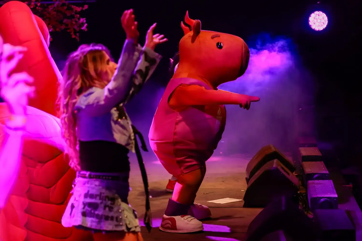 Fan Fest en Rafaela, Rosario y Santa Fe: una noche de música y celebración masiva - 1