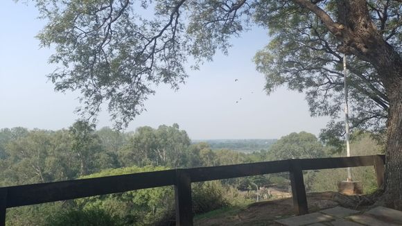 Ecocidio: siguen activos focos de incendio en islas y el viento trae el humo a la ciudad