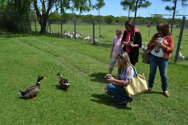 Concientización turística: Naturaleza y relax a la vuelta de la esquina