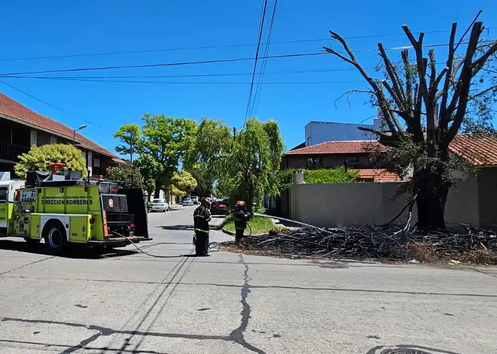 Los vecinos se alertaron por la densa columna de humo y el alto de las llamas.