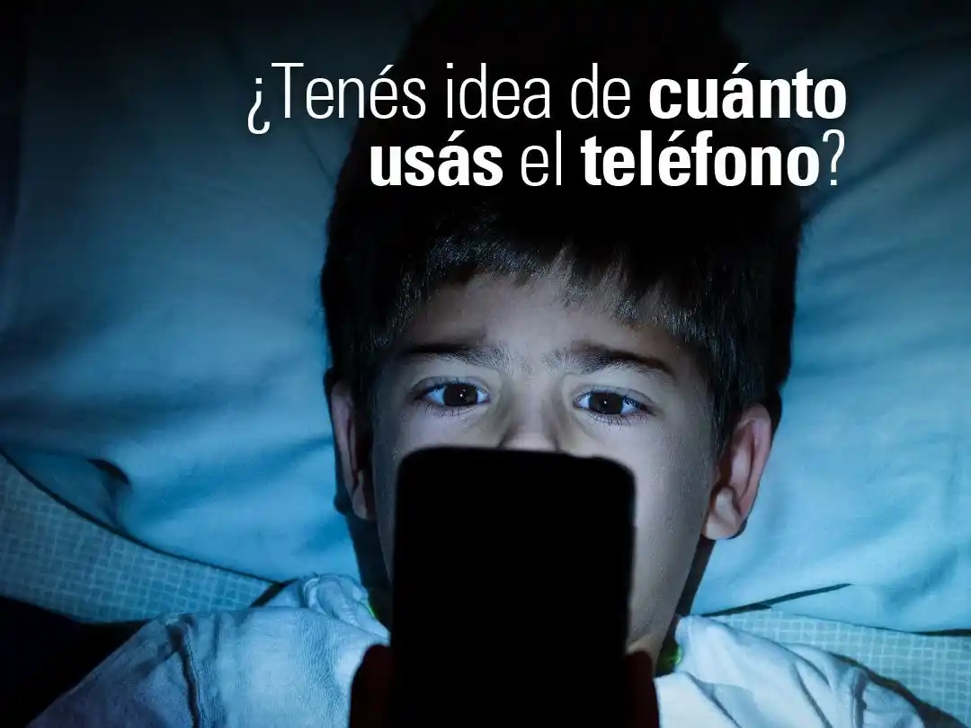 Los datos surgen de un cuestionario elaborado por el organismo bonaerense.