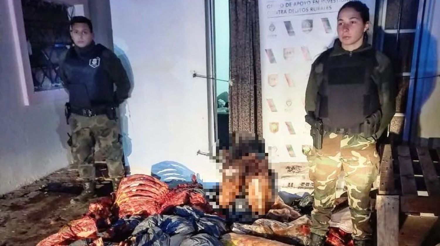 La Matanza: Matadero clandestino vendía hamburguesas de carne de caballo a carnicerías de la zona