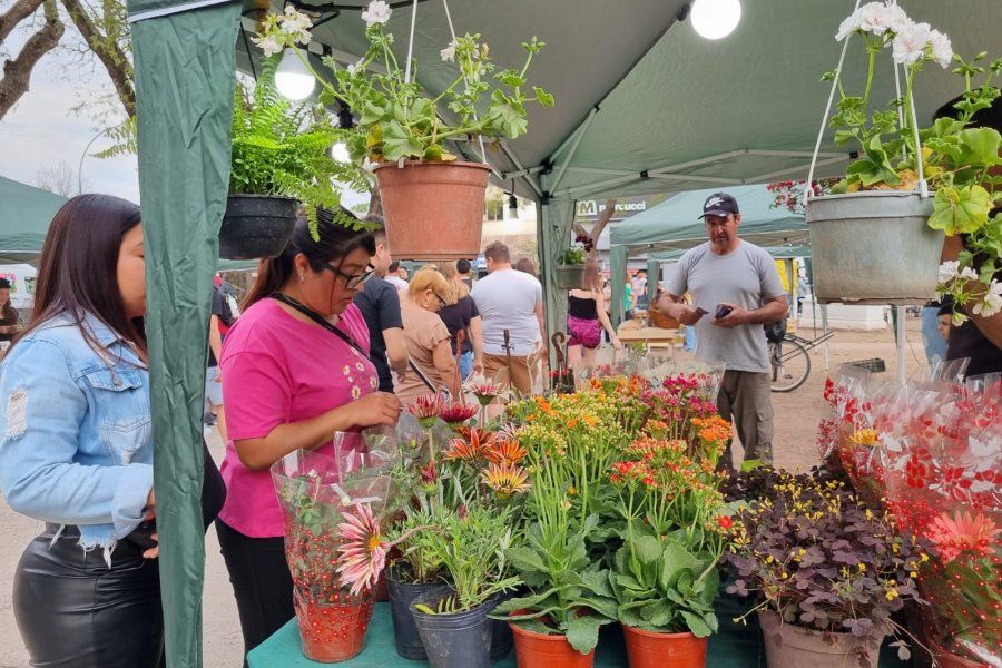 Nueva edición de la feria de productos orgánicos y sustentables