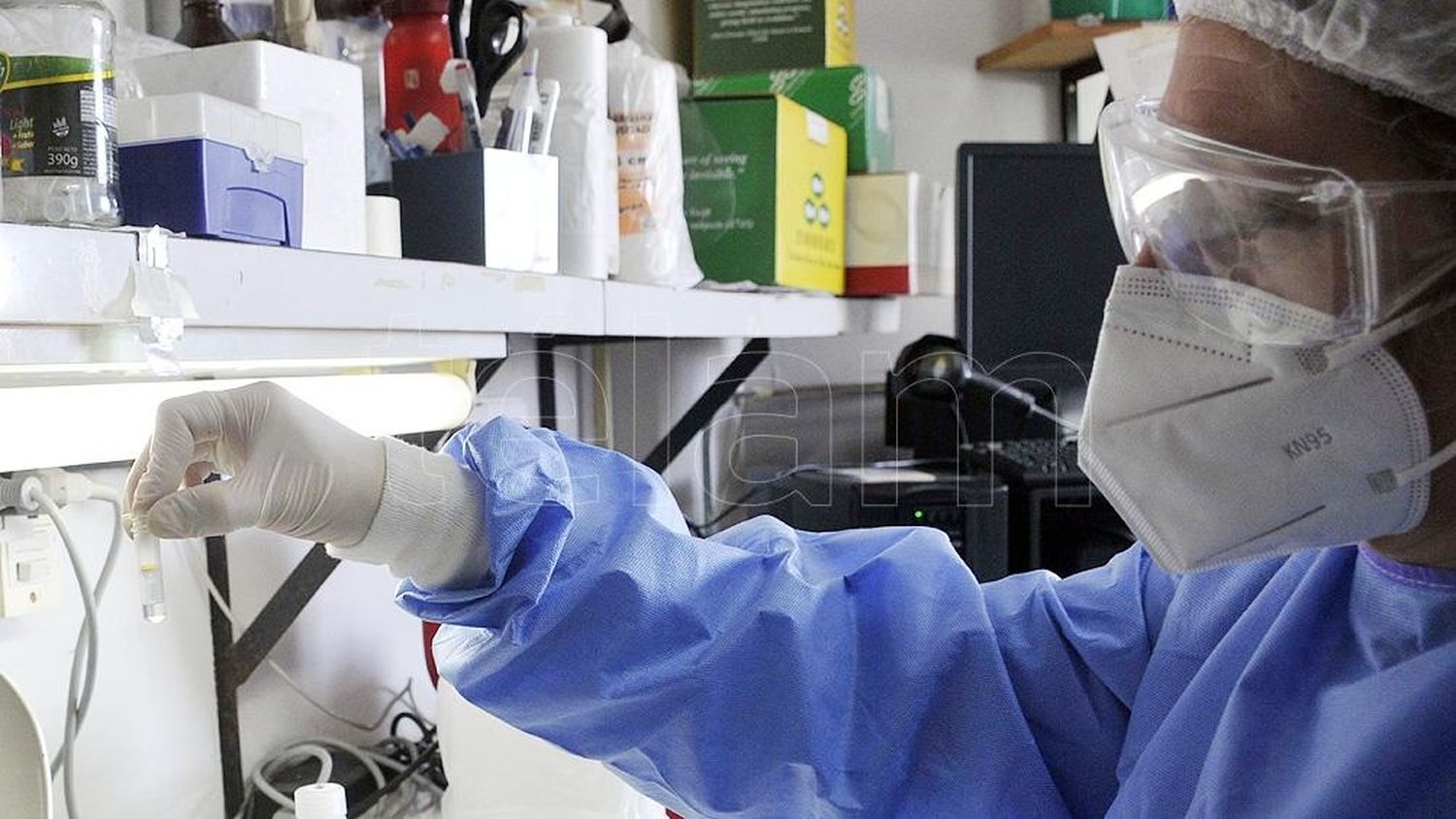 Segunda ola de coronavirus: sin casos positivos, los activos son 282