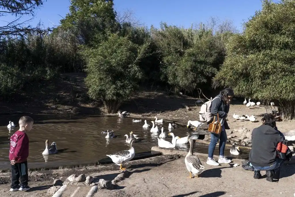 La Granja preparó una programación especial que se desarrollará del martes 28 de mayo al domingo 2 de junio. Foto: Municipio de Rosario