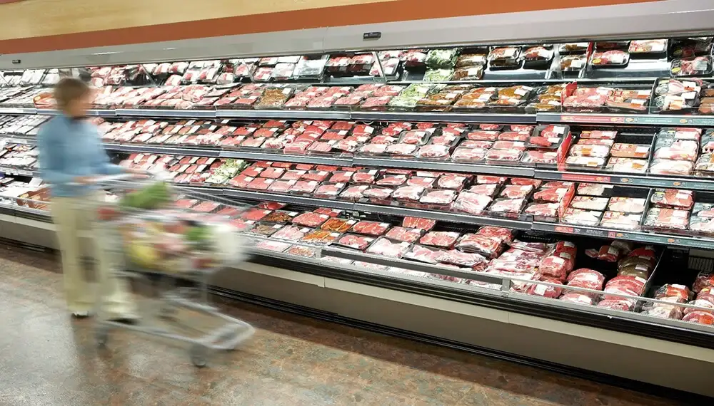 gondola carne