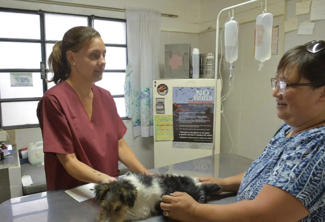 Desde que logró una sede propia, la Protectora de Animales atendió unos 26 mil animales