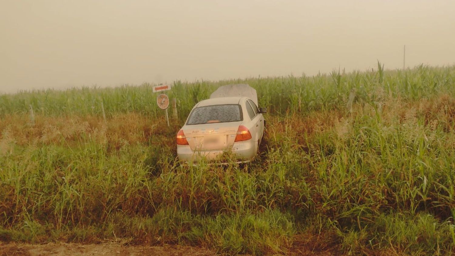 Una joven se despistó con su auto en un camino rural de la zona