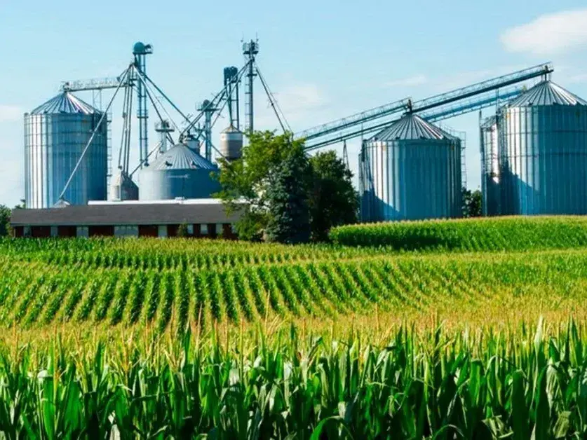 La agroindustria genera más de 4,3 millones de empleos en Argentina