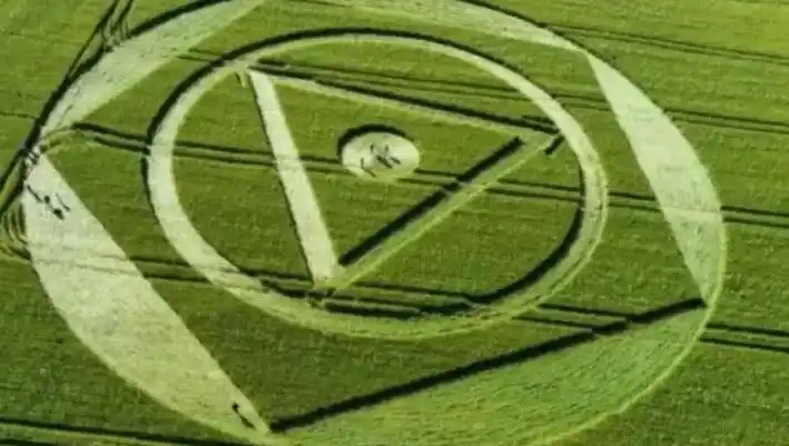 Misteriosos círculos de cultivos en Brasil: ¿Qué son?