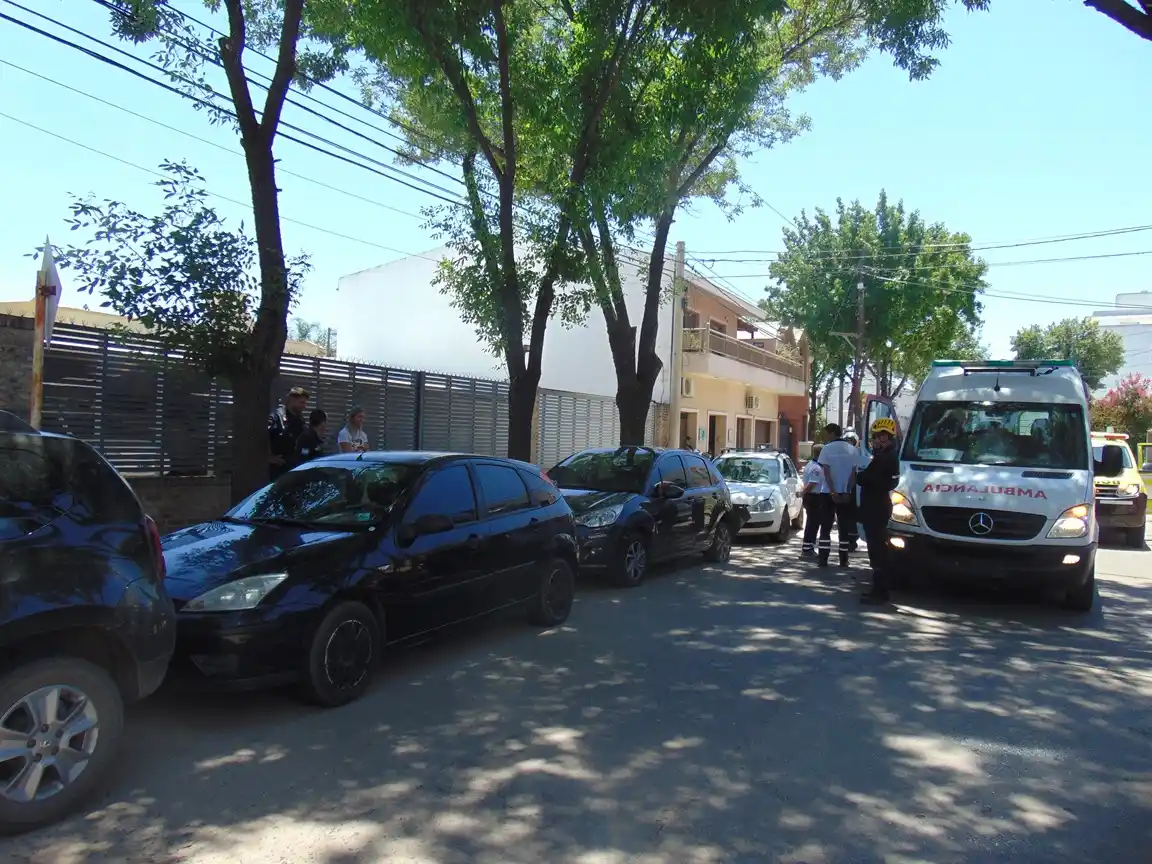 triple choque venado - 1