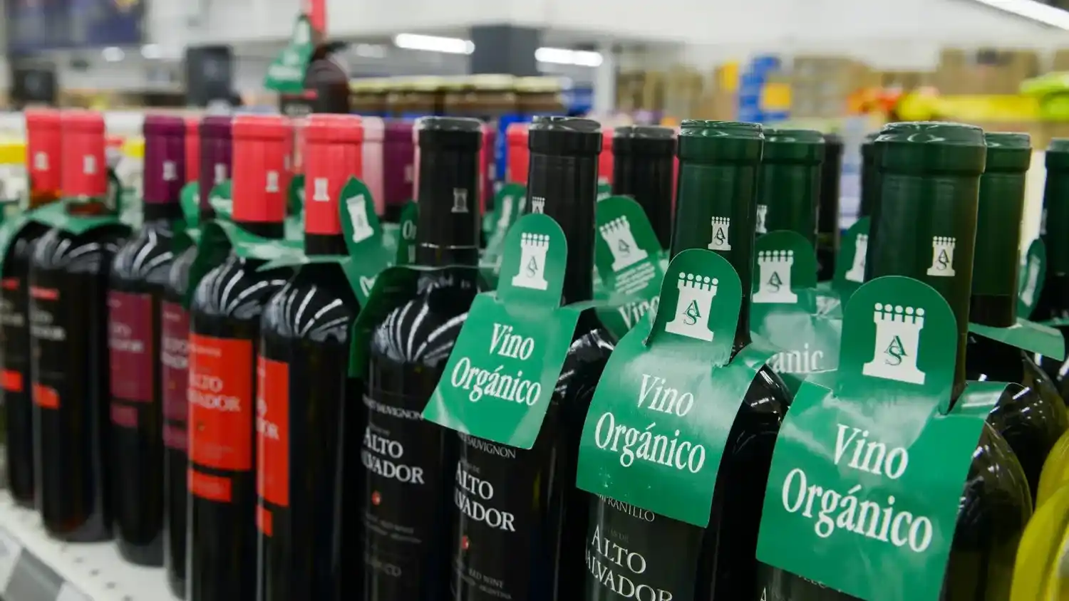 Las exportaciones el sector orgánico marcaron un récord en 2025 con 31 por ciento de crecimiento