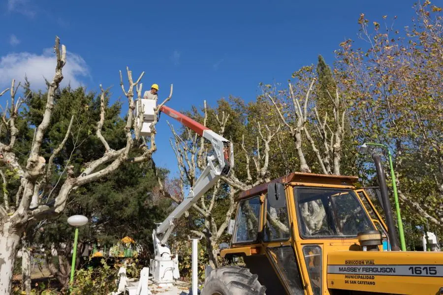 Realizan trabajos de poda en la Plaza América de San Cayetano