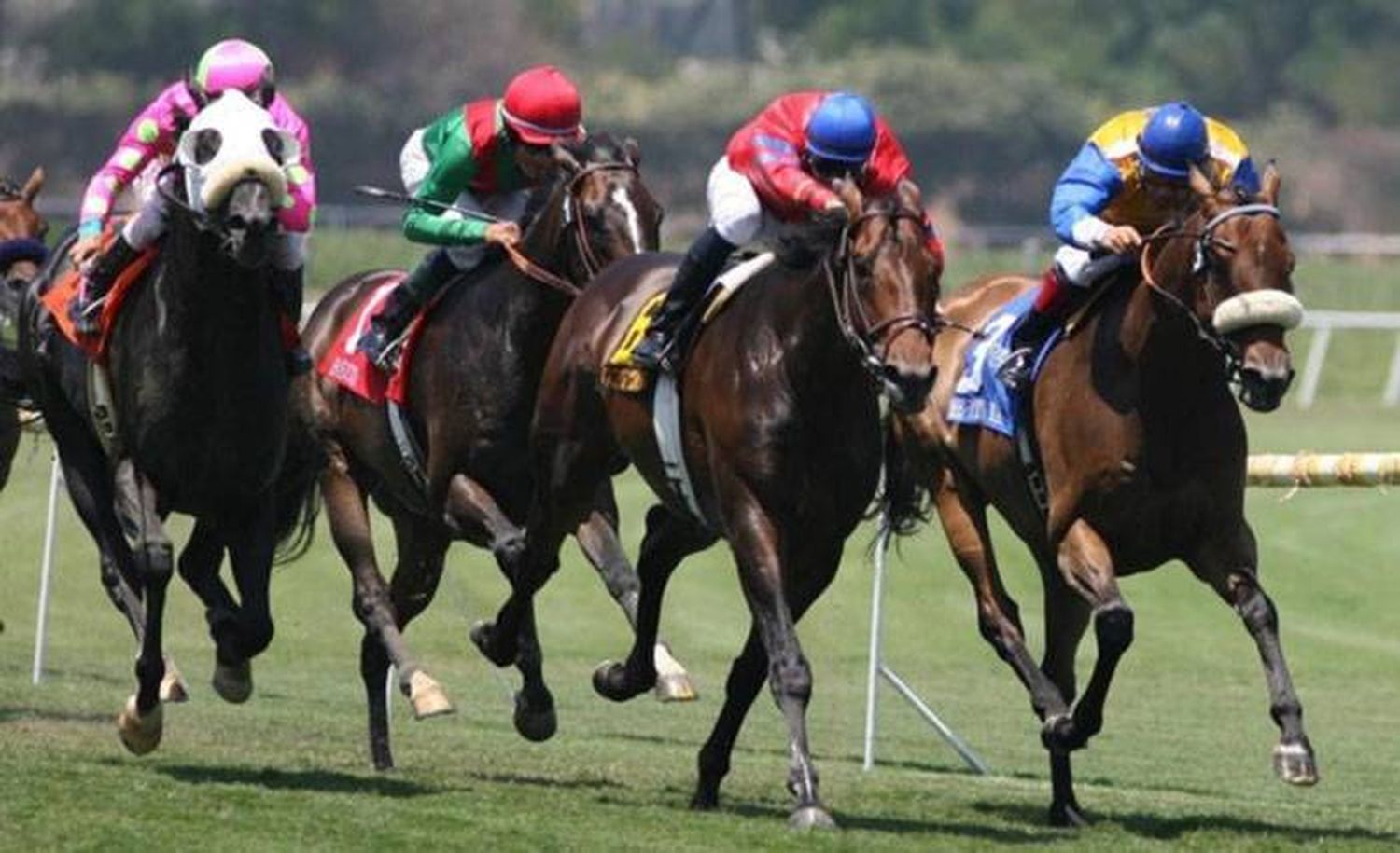 Lunes 25: Actividad Hipódromo de Palermo