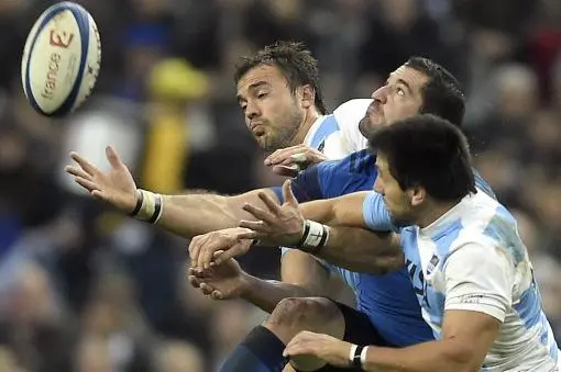 Mundial de Rugby: Los Pumas enfrentan a Tonga