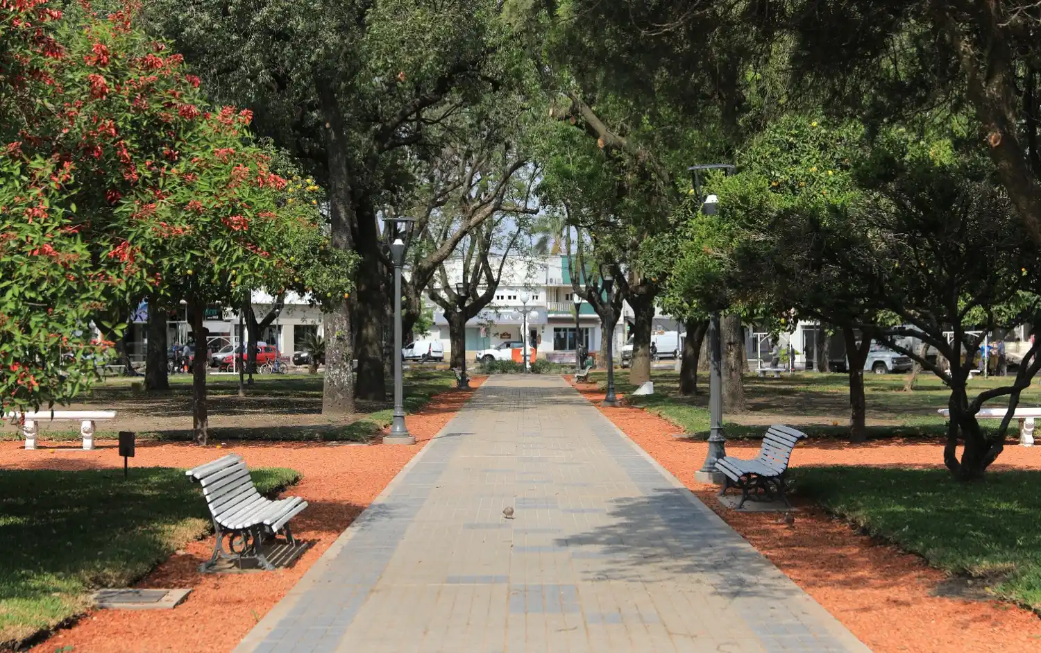 Comienza la etapa de parquización en la Plaza 25 de Mayo